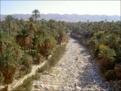 El-Kantara