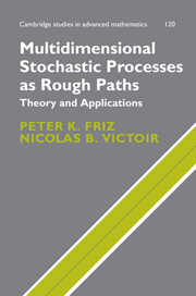 Multidimensional Stochastic Processes as Rough Paths book cover