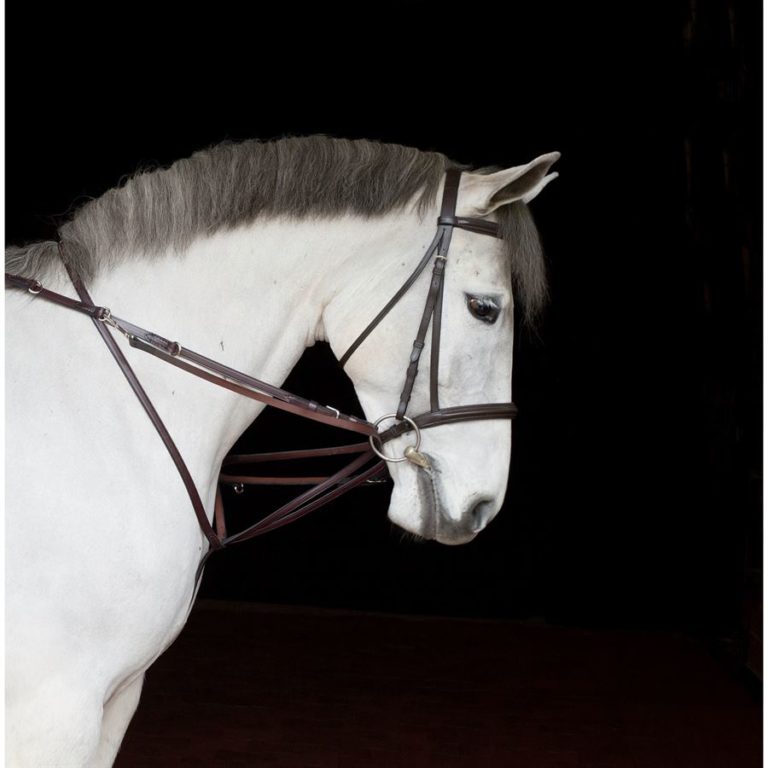 Back to basics local martingales Libres pensées d'un mathématicien